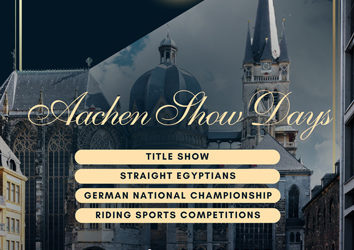 All Nations Cup und Nationales Championat 2025