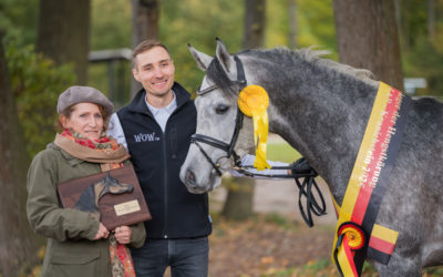 Hengstkörung und Eintragung – ein gelungener Auftakt für das Arabische Wochenende in Kranichstein