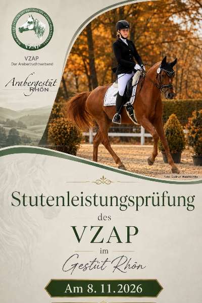 Stutenleistungsprüfung im Gestüt Rhön 08.11.2026