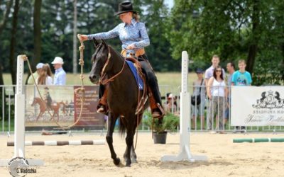 Sportpferdeplaketten 2020