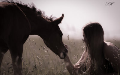 Noch bis zum 31.07.2024 einreichen! Fotowettbewerb zum Thema „Bewegende Momente – Menschen und arabische Pferde“