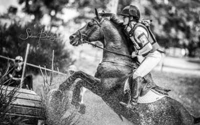 Haras du Pin: Schauplatz eines internationalen Vielseitigkeitsturniers