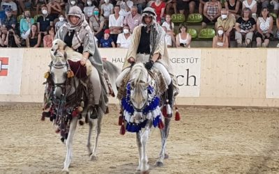 Festival des Arabischen Pferdes in Marbach – Eindrücke einer Besucherin –
