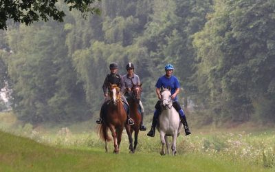 Distanz-Statistik 2017