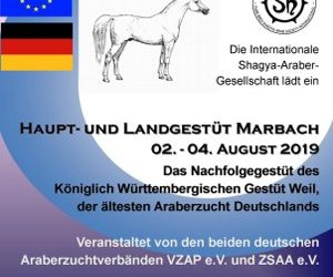 ISG Europa-Championat für Shagya-Araber