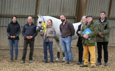 Hengsteintragung und Körung einmal anders
