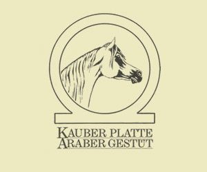 Stellenausschreibung