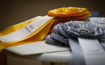 Änderung der Bewertungskriterien für die VZAP-Championate in Kranichstein