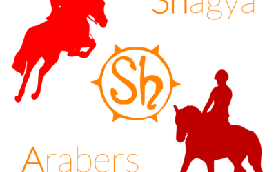 SHAGYA-ARABER EQUI-LEAGUE CHALLENGE