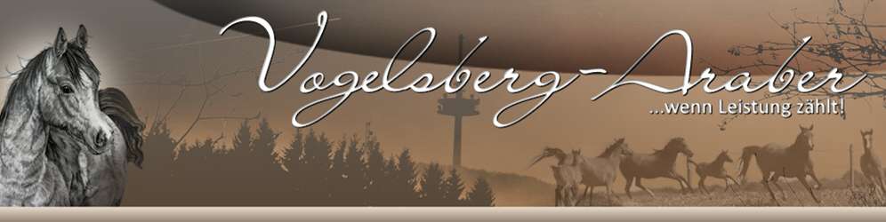 Logo-Vogelsberg