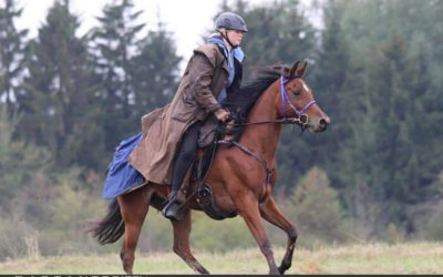 Nadiera siegt auf dem Distanzritt “Zu Gast bei…”