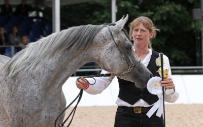 Stuten- und Fohlenprämierung des VZAP am 30.08.2020 in Marbach