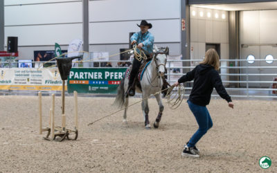 Arabische Pferde auf der Messe PARTNER PFERD in Leipzig 2026