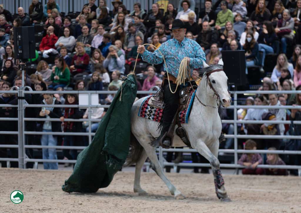 Partner-Pferd-LE-2026-Pauli (7)