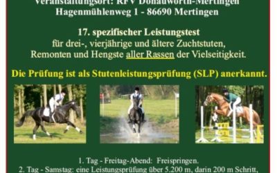 Projekt Nurmi Prüfung