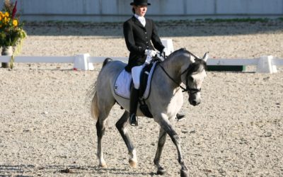 Dressurturnier bis Klasse S mit Mindestblutanteil 25. bis 26.06.2022