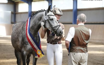 “Arabischer Adel im Norden”