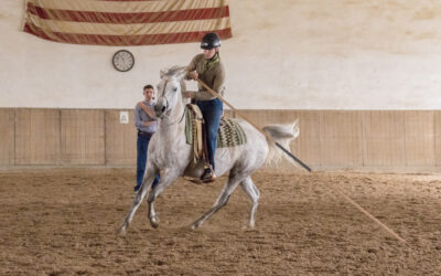 VZAP-Sportkursförderung