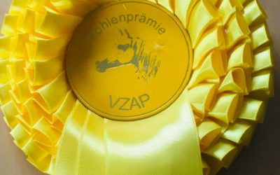 Prämierte Stuten und Fohlen 2020