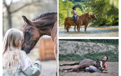 Fotowettbewerb zum Thema „Bewegende Momente – Menschen und arabische Pferde“ – die Sieger stehen fest!