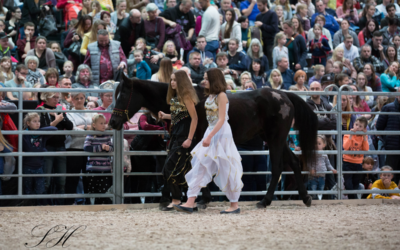 Arabische Faszination auf der PARTNER PFERD
