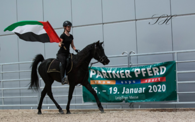 Sweet Arabians auf der “Partner Pferd”