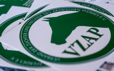 Einladung zum Stammtisch nach Sachsen