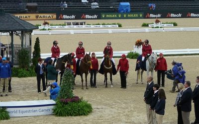 WEG-Bronze