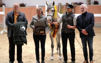 Siegerhengst der VZAP-Körung in Kranichstein: Marbachs WM Daraschad