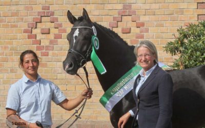 Ergebnisse HLP Marbach