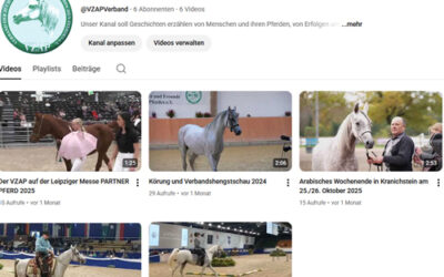 Youtube – Kanal des VZAP