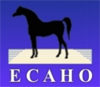 Ecaho-Logo