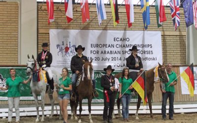 Europa-Championat Sportaraber