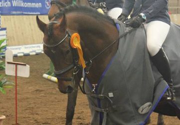 Haskar in Vielseitigkeitsvorbereitung