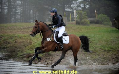 Haskar auf Erfolgskurs