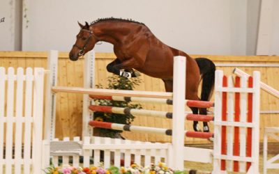 Haskar startet in die Saison