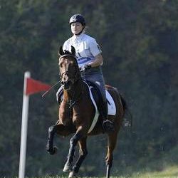 Haskar del Chapulin AA nach Reiterwechsel wieder im Sport
