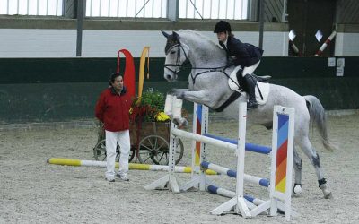 Hill Dreams Buschkarriere ist zu Ende