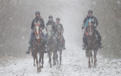Neujahrs-Distanz 2016