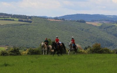 Fünf Sieger bei Rheinland-Pfalz-Meisterschaft