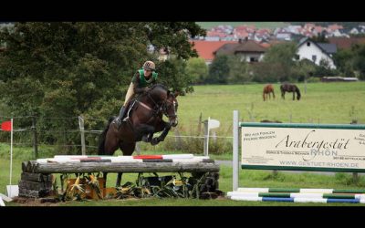 Jonathan Marquardt und Elitehengst Marek (AA) im Hessen-Kader