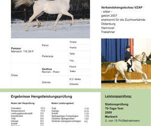 Wir stellen unsere leistungsgeprüften Hengste vor
