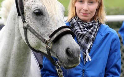 SGW Sharik ox gewinnt Hundermeiler in Most