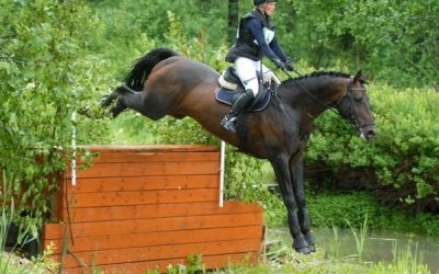 Finnischer Champion kommt aus dem Harz