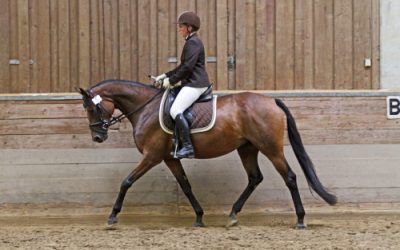 Ergebnisse Hünfeld 2014