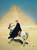Arabische Pferde üben eine exotische Faszination aus. (Foto: R. v. Lent)