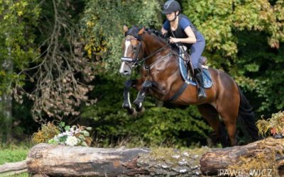 In Deak erfolgreich beim 100-Tage-Test in Polen