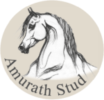 logo-amurath
