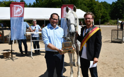 DM/DJM Distanzreiten: Gold für Nico Helta und White Pablo